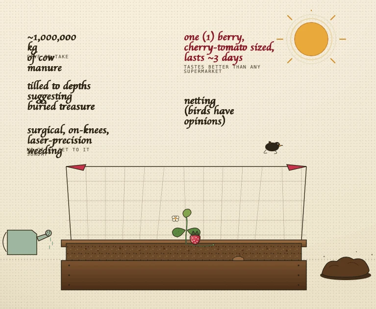 Weeds Grow on Nothing. Strawberries Want Everything.